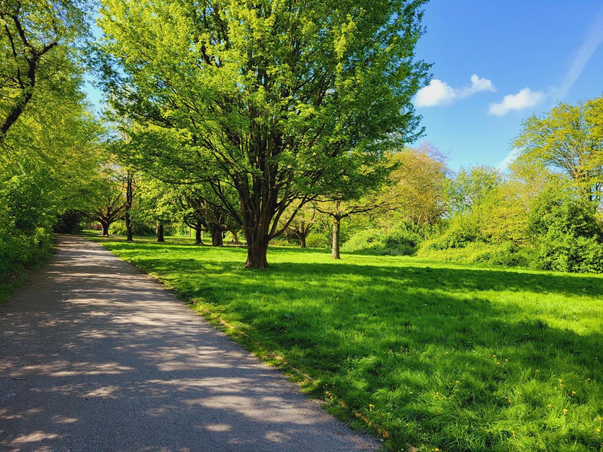Ferienwohnungen Am Park Wilhelmshaven Eksteriør bilde